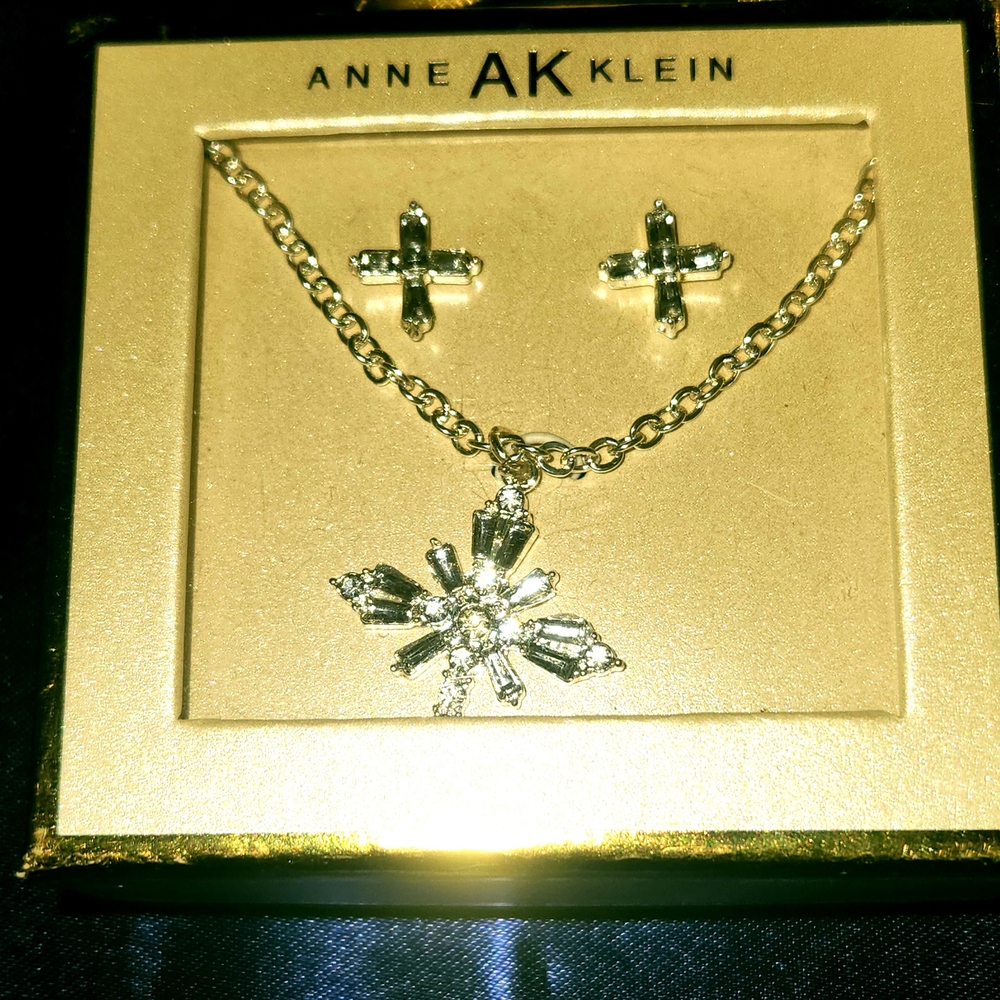 Anne AK Klein Elegant Silver Jewelry Earring/Necklace Set - Picture 10 of 14